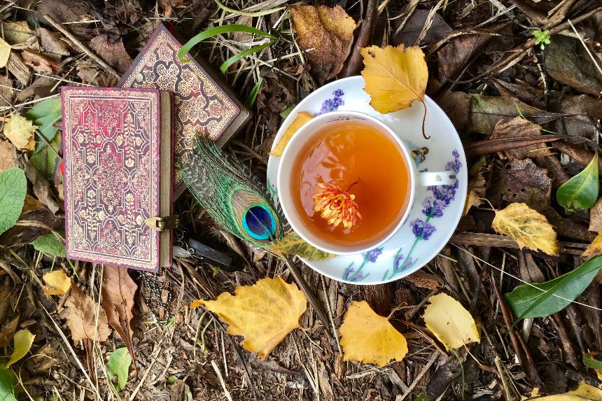 Jesień w Magicznej Oazie zapraszam na filiżankę herbaty